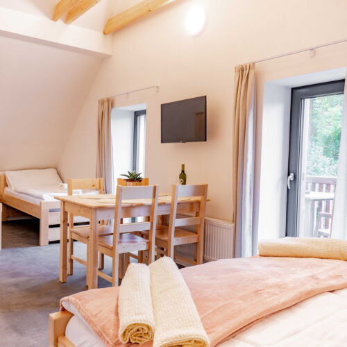 Apartman se sprchou s vlastní kuchyňkou pro 4 os.