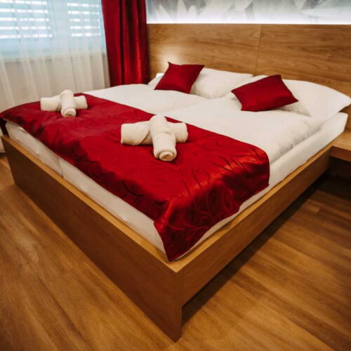 Pokoj s koupelnou se sprchou s manželskou postelí