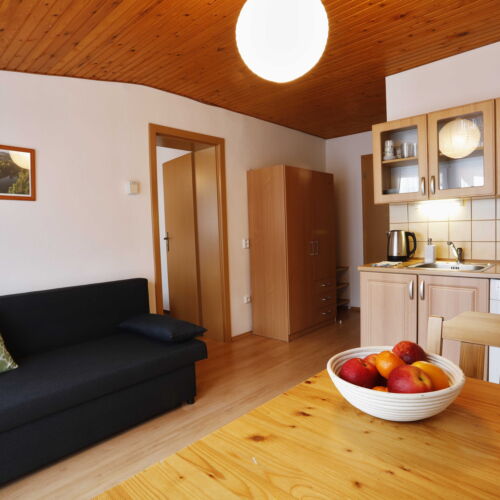 Apartman se sprchou s vlastní kuchyní pro 2 os. (s možností přistýlky)
