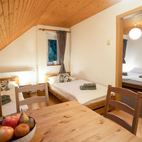 Apartman se sprchou s vlastní kuchyňkou pro 5 os. (s možností přistýlky)