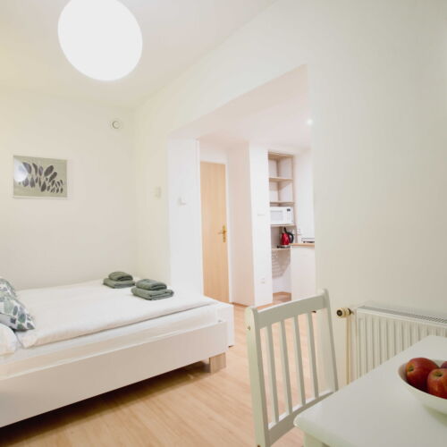 Apartman se sprchou s vlastní kuchyňkou pro 2 os.
