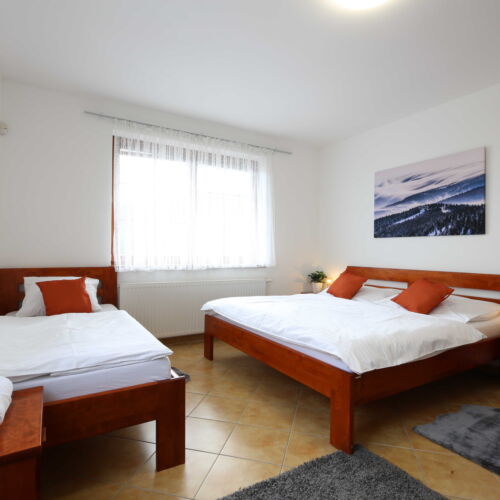 Pokoj se sprchou s vlastní kuchyňkou pro 3 os.