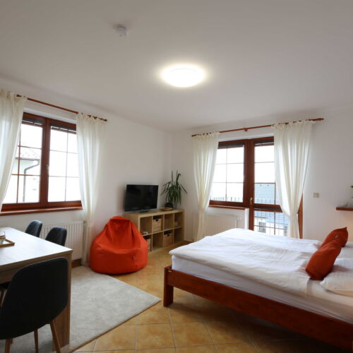 Pokoj se sprchou s vlastní kuchyňkou pro 4 os. (s možností přistýlky)