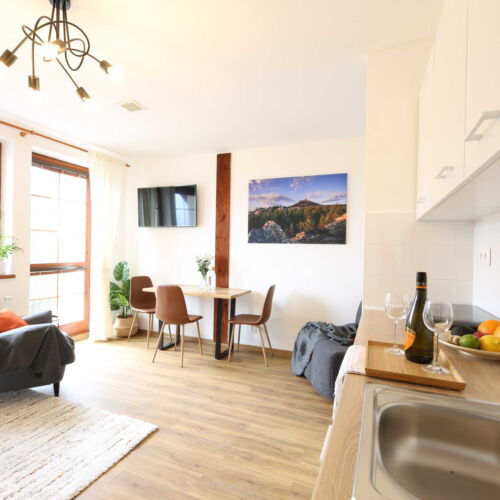 Pokoj se sprchou s vlastní kuchyňkou pro 2 os. (s možností přistýlky)