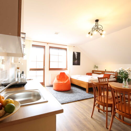 Pokoj se sprchou s vlastní kuchyňkou pro 4 os. (s možností přistýlky)