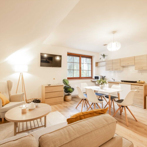 Pokoj se sprchou s vlastní kuchyňkou pro 5 os. (s možností přistýlky)