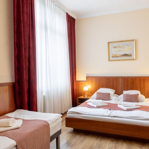 Camera tripla standard family