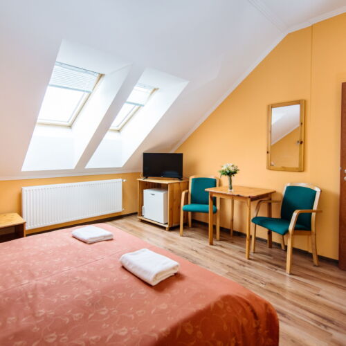 Standard Mansard Twin Room