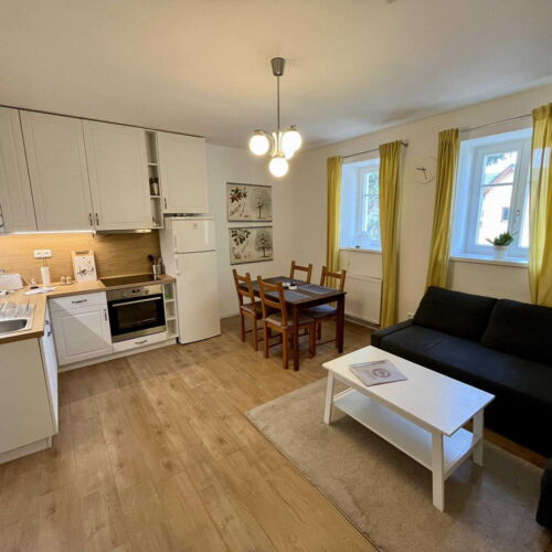 Apartman se sprchou s vlastní kuchyňkou pro 2 os. s 1 ložnicí (s možností přistýlky)