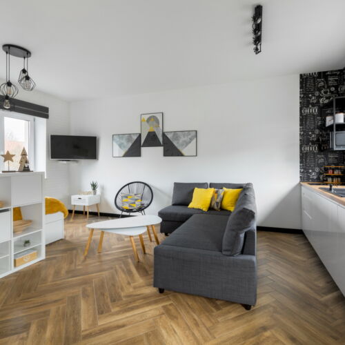 Apartament standard cu chicineta proprie cu 1 camera pentru 4 pers.