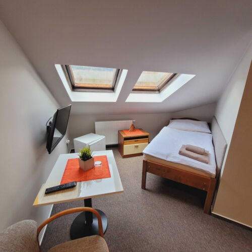 Economy Pokoj se sprchou pro 1 os.