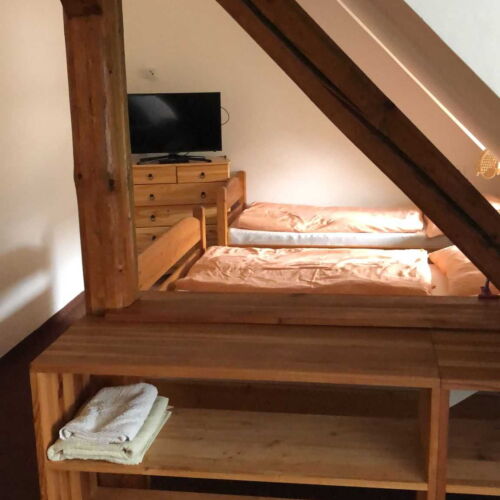 1-Room Apartment for 3 Persons with Shower (extra bed available)