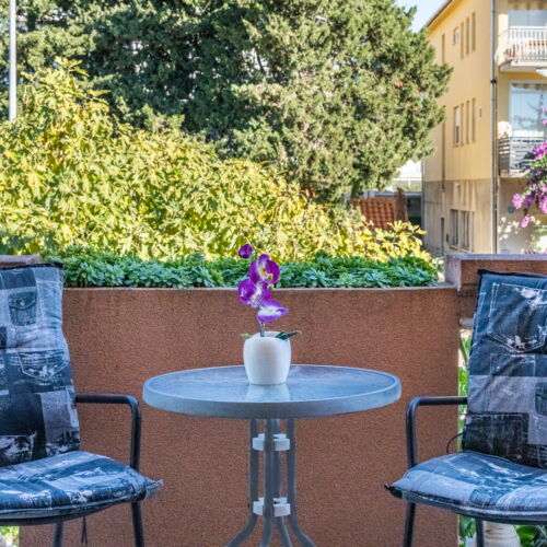 Camera twin standard