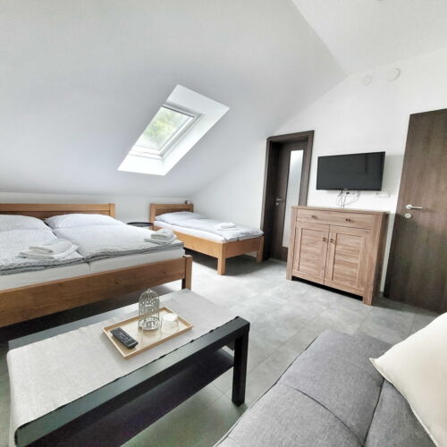 Pokoj se sprchou  pro 3 os.