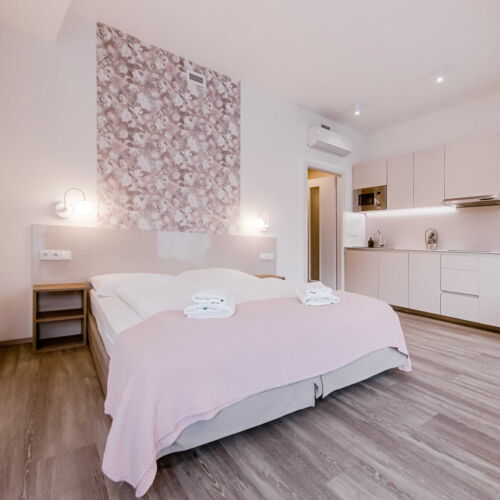 Camera dubla studio family (se poate solicita pat suplimentar)