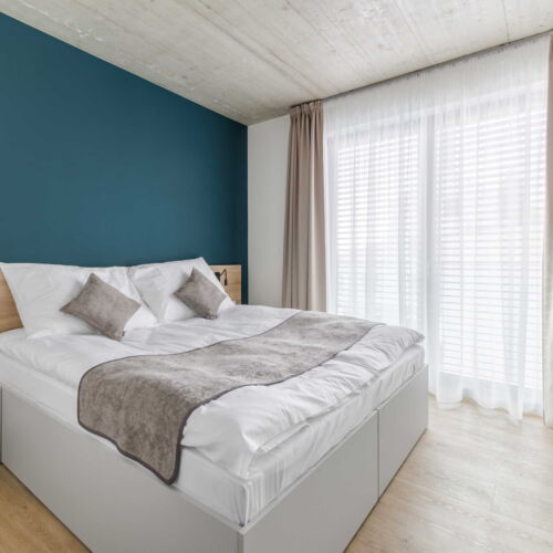 Superior Apartman se sprchou s manželskou postelí s 1 ložnicí (s možností přistýlky)