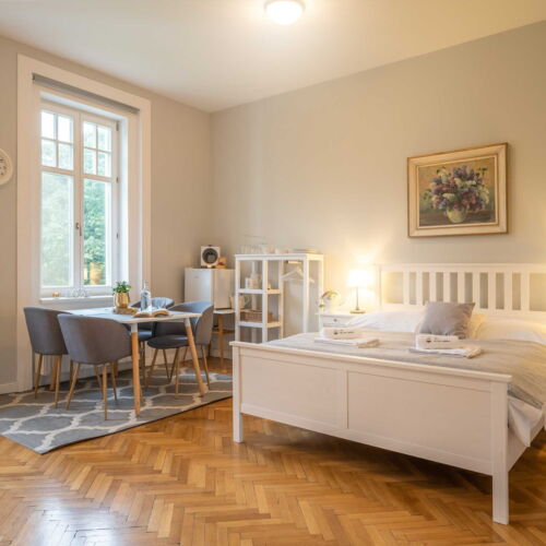 Pokoj se sprchou  s manželskou postelí (s možností přistýlky)