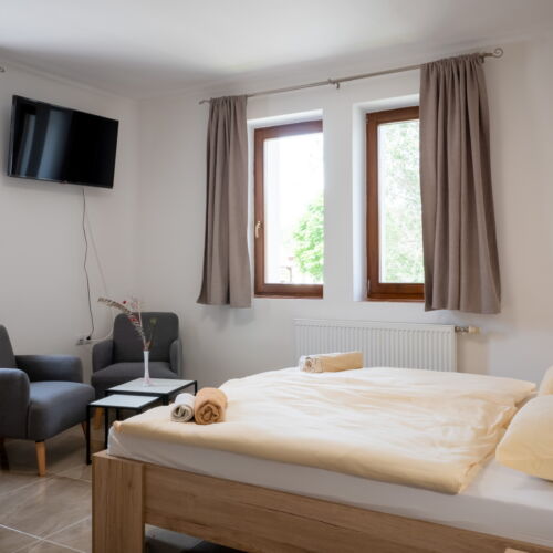 Pokój 2-osobowy na parterze Queen (możliwa dostawka)