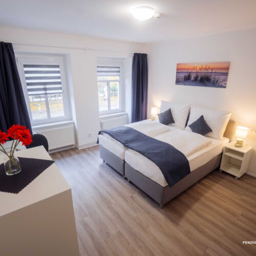 Pokoj se sprchou se společnou kuchyňkou s manželskou postelí