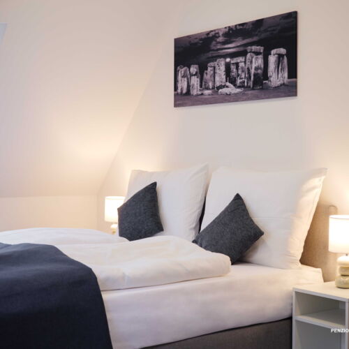 Pokoj s klimatizací se sprchou s manželskou postelí (s možností přistýlky)