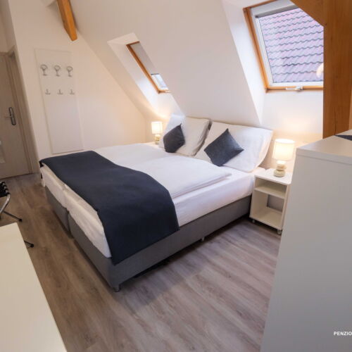 Pokoj s klimatizací se sprchou s manželskou postelí