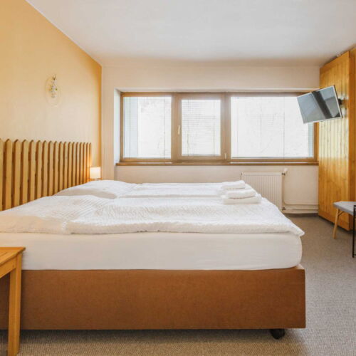 Camera twin standard cu duș (se poate solicita pat suplimentar)