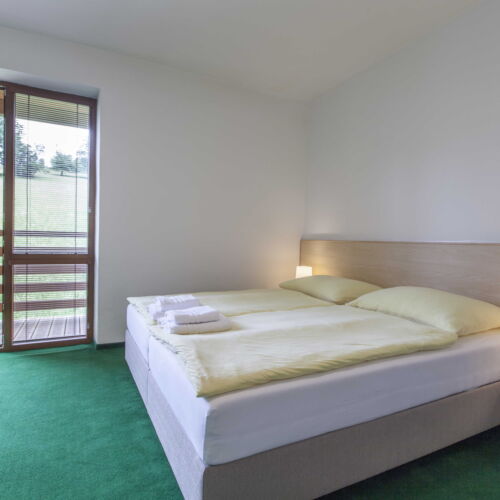 Camera twin standard cu duș