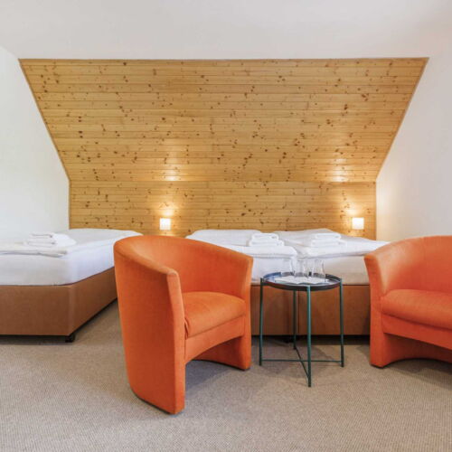 Camera tripla exclusive cu duș (se poate solicita pat suplimentar)