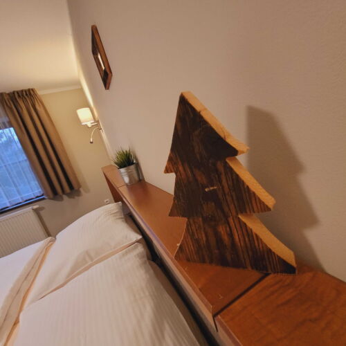 Superior Pokoj se sprchou pro 2 os.