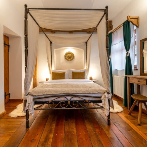 Camera dubla standard