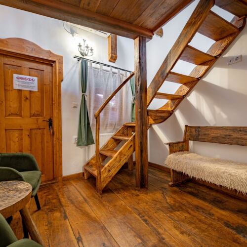 Camera dubla standard