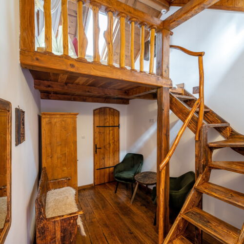 Camera dubla standard