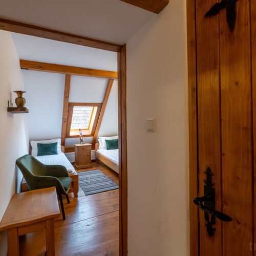 Camera twin standard