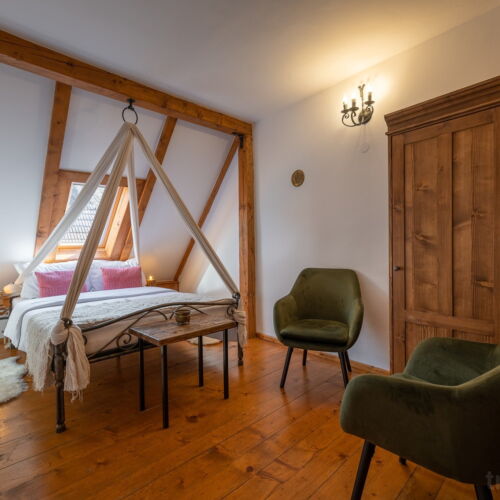 Camera dubla standard