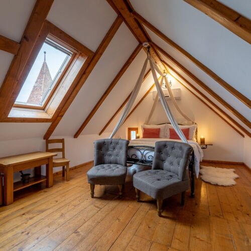 Camera dubla standard