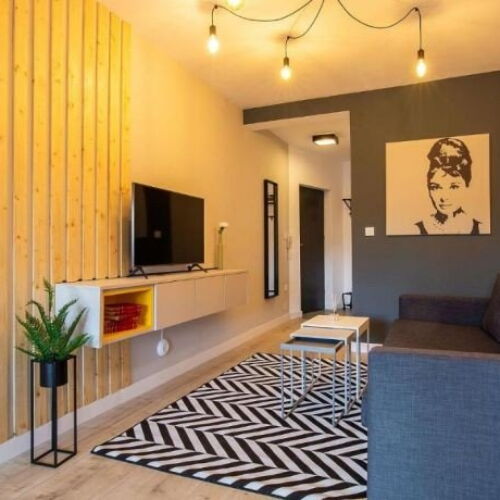 Apartament cu 1 camera pentru 2 pers.