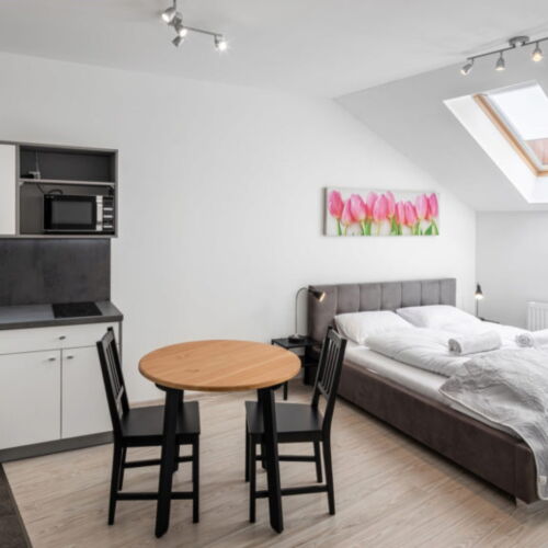 Apartman (jako celek) s manželskou postelí