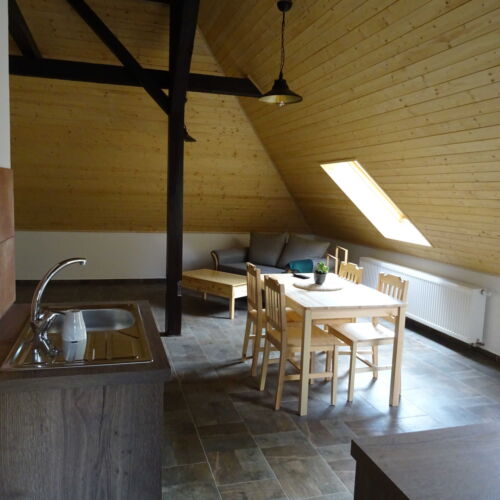 Pokój 3-osobowy z prysznicem z aneksem kuchennym (możliwa dostawka)