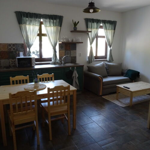 Apartament 2-osobowy z prysznicem z aneksem kuchennym (możliwa dostawka)