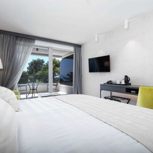 Camera dubla cu balcon cu aer condiționat (se poate solicita pat suplimentar)