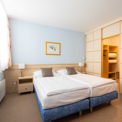 Superior 1-Room Apartment for 2 Persons (extra beds available)