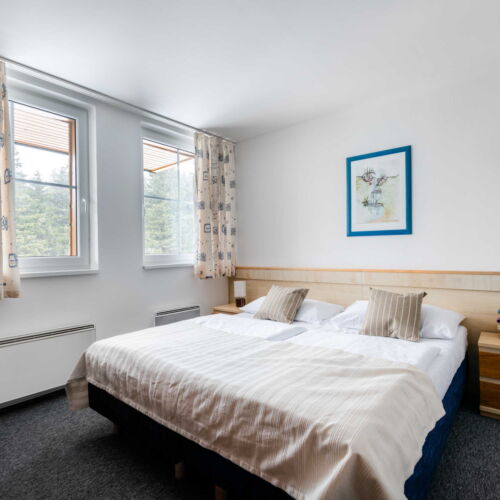 Executive 1-Room Apartment for 3 Persons (extra beds available)
