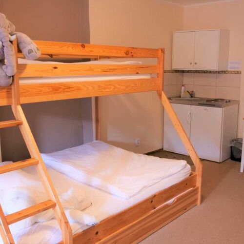 Pokoj se sprchou  pro 4 os.