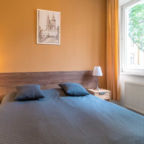 Garden View Double Room (extra beds available)