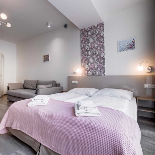 Camera dubla deluxe studio (se poate solicita pat suplimentar)