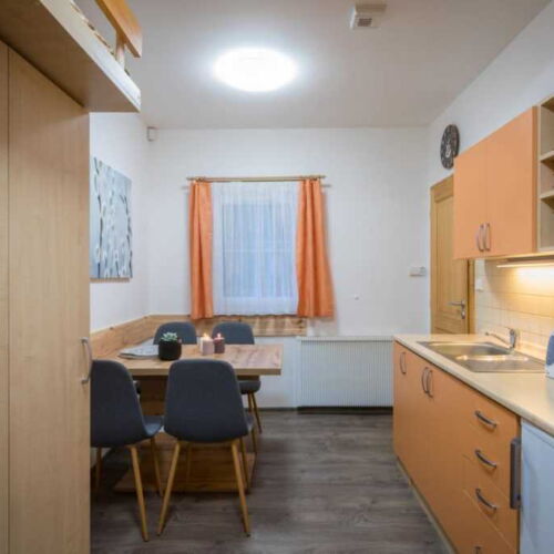 Apartman se sprchou s vlastní kuchyňkou pro 3 os. (s možností přistýlky)