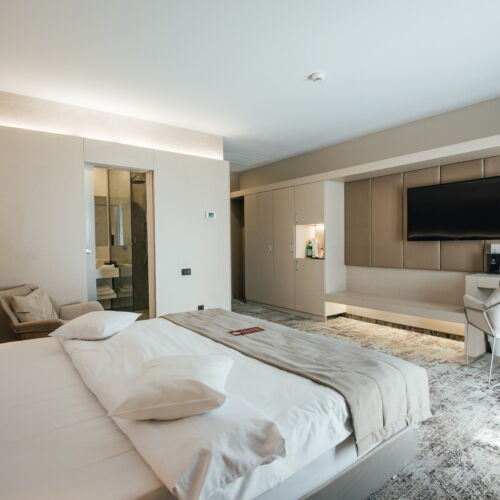 Camera dubla standard