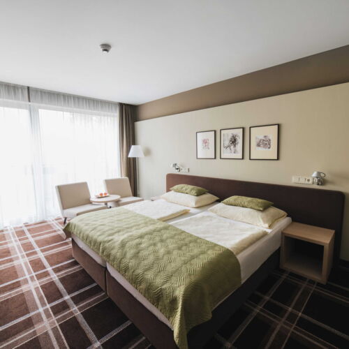 Comfort Double Room (extra bed available)