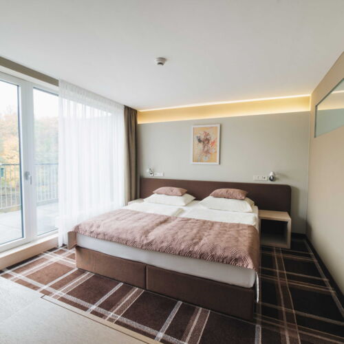 Deluxe 1-Room Apartment for 2 Persons (extra bed available)