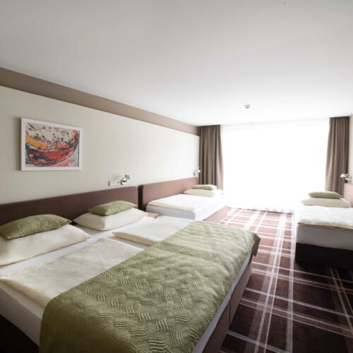 1-Room Family Apartment for 4 Persons (extra bed available)